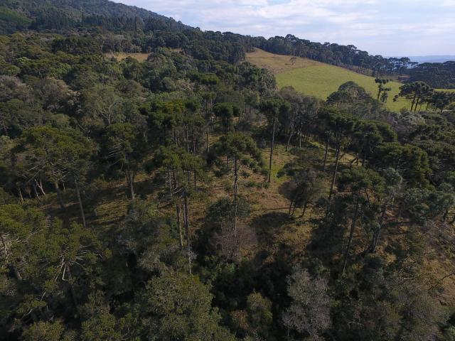 Sítio em Urubici/área rural /casa em Urubici - Foto 9