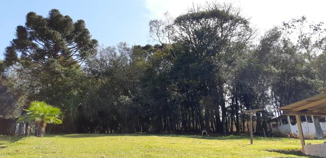 Vendo ou Troco Chácara em Contenda - 3.600 m2 - Foto 12