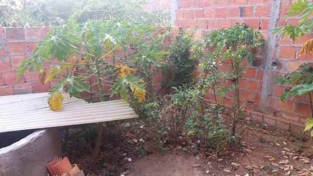 Casa - Foto 3