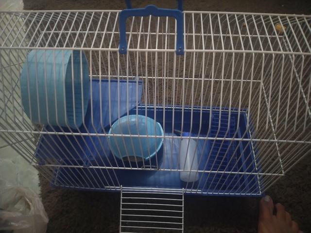 Gaiola completa