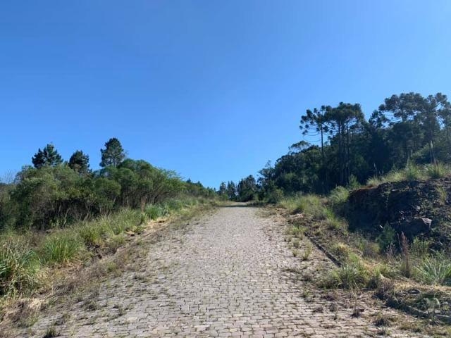 Caxias do Sul - Terreno - Parada Cristal