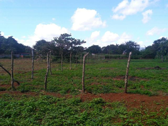 Terreno em Conceição do Jacuípe .Telefone * ou * - Foto 9