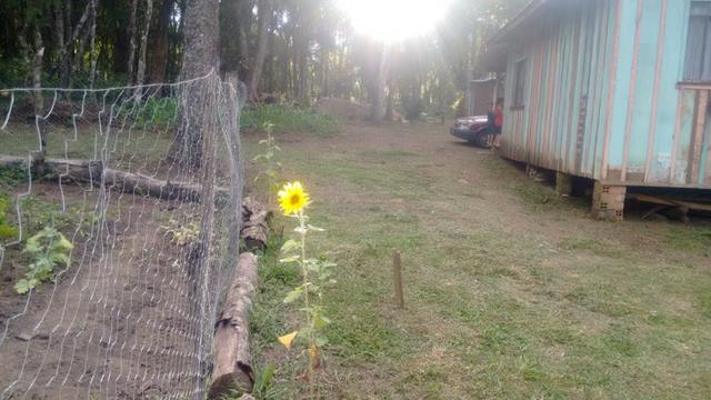 Chácara em São Mateus do Sul - Foto 5