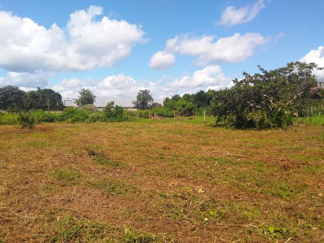 Terreno em Conceição do Jacuípe .Telefone * ou *