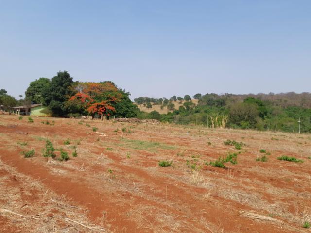 Chacaras em Goiania prox ao Orlando de Morais e Paraiso Tropical