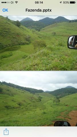 Venda-se está fazenda de 323 Alqueires no Estado de minas Gerais/MG - Foto 7
