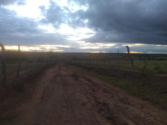 Fazenda - Foto 4