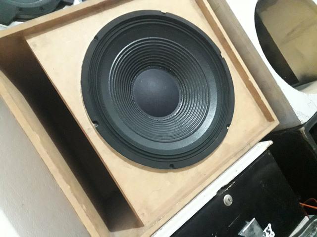 Vendo alto falante de 15 da seleniun 200$