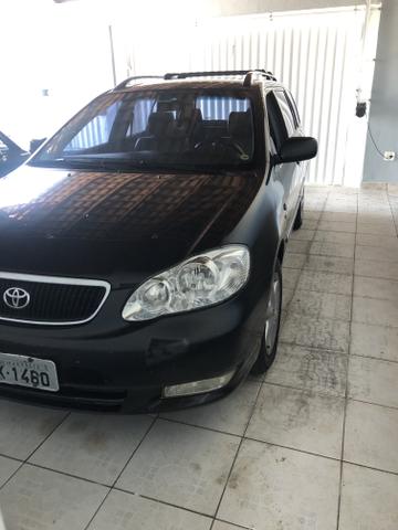 Corolla fielder