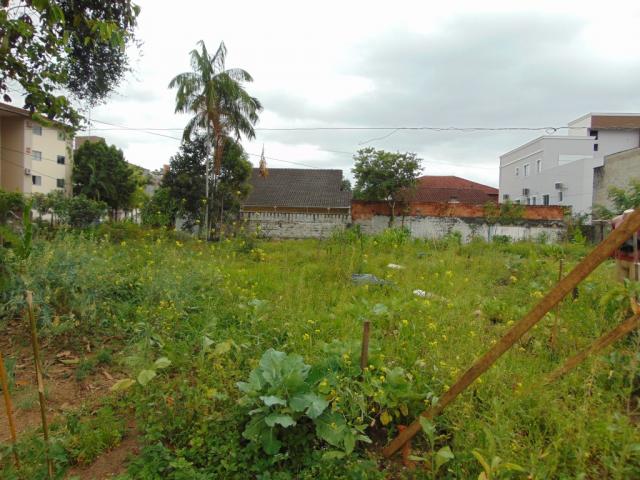 Terreno para alugar em Saguacu, Joinville cod:06691.011 - Foto 4