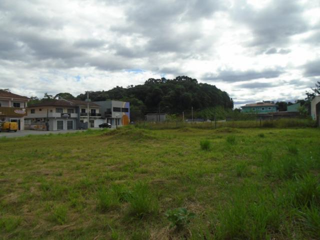 Terreno para alugar em Santa catarina, Joinville cod:08122.001 - Foto 5