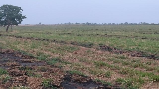 Fazenda para lavoura de 44 alqueires a venda na região de Caldas Novas GO - Foto 7