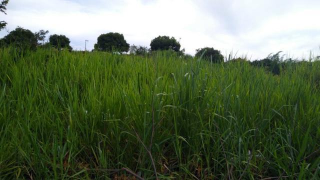 Oportunidade terreno no Caju - Maricá - Foto 2