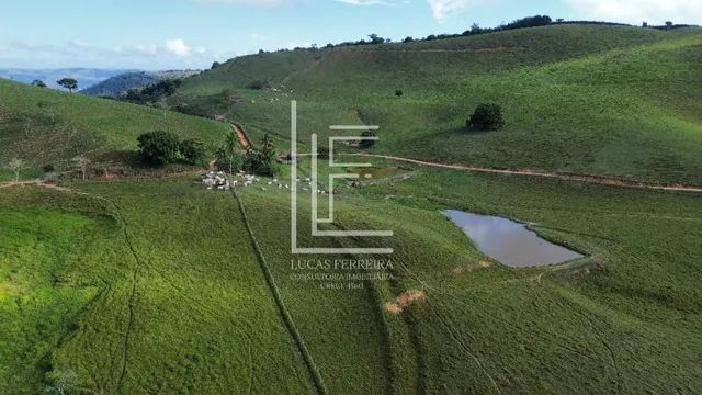 Belíssima fazenda de 52 hectares na melhor localização de Santana do Mundaú-AL - Foto 5
