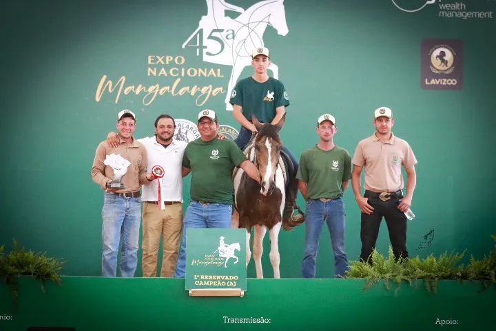 Égua Mangalarga - Pelagem Pampa - Foto 5