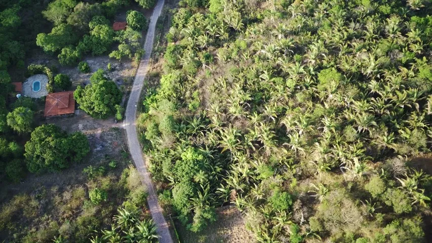 Fazenda de 94 Hectares na Cacimba Velha