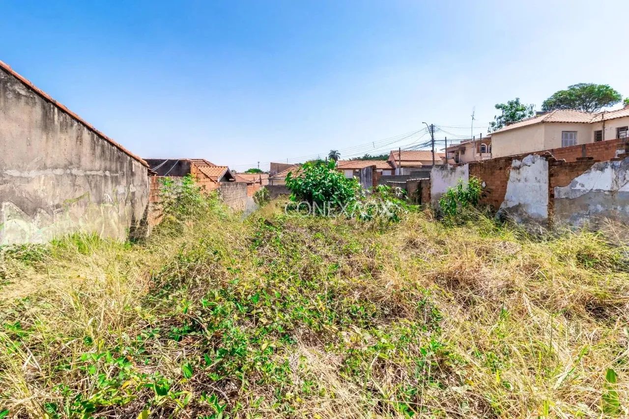 terreno - Vila Marieta - Campinas