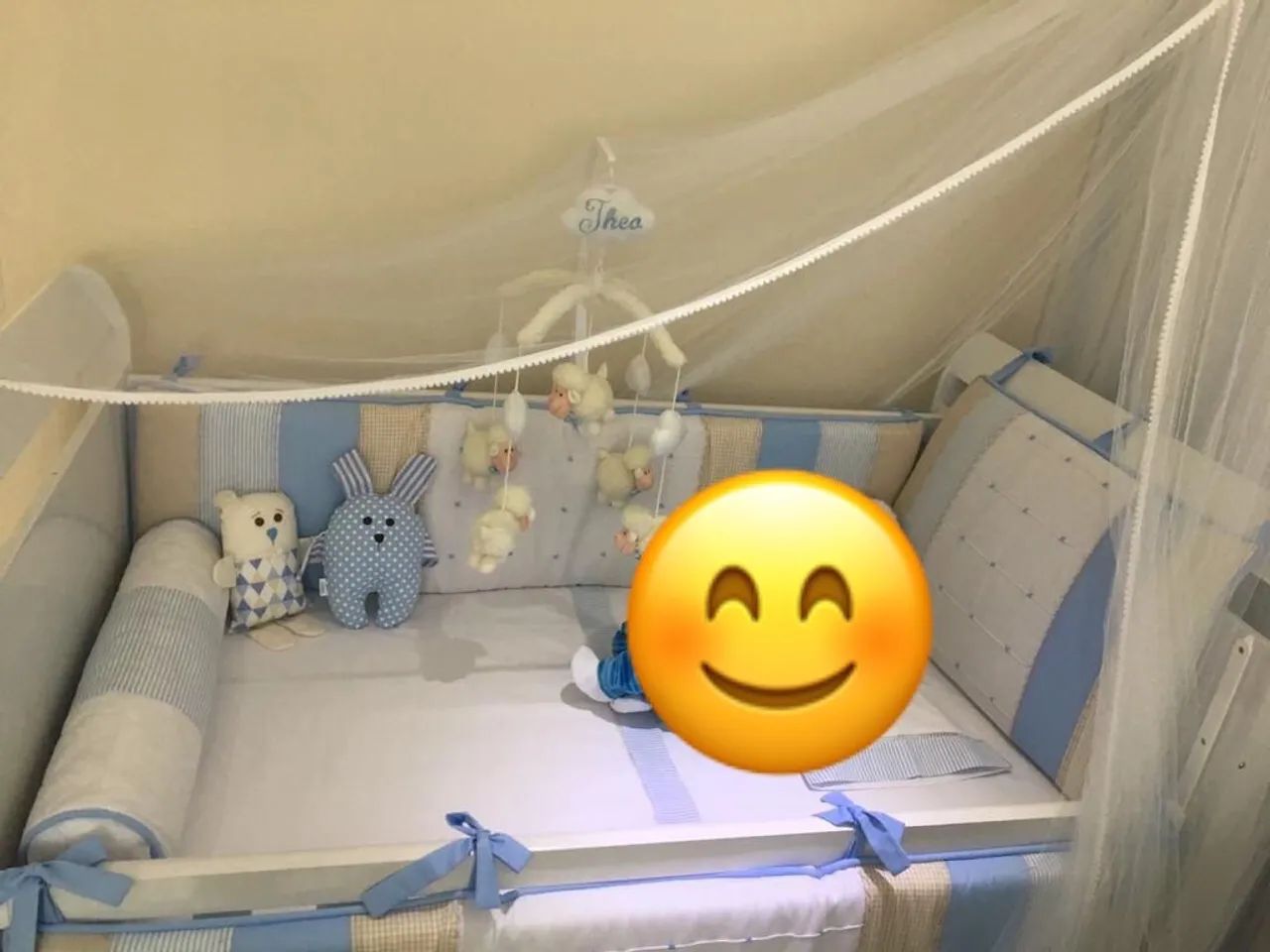 Dossel com mosquiteiro 