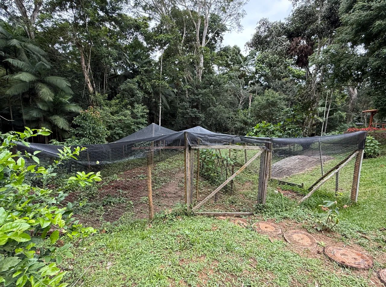 Chácara com 30 mil m², e casa nova com anexo, à venda em Amparo, Nova Friburgo - RJ - Foto 5