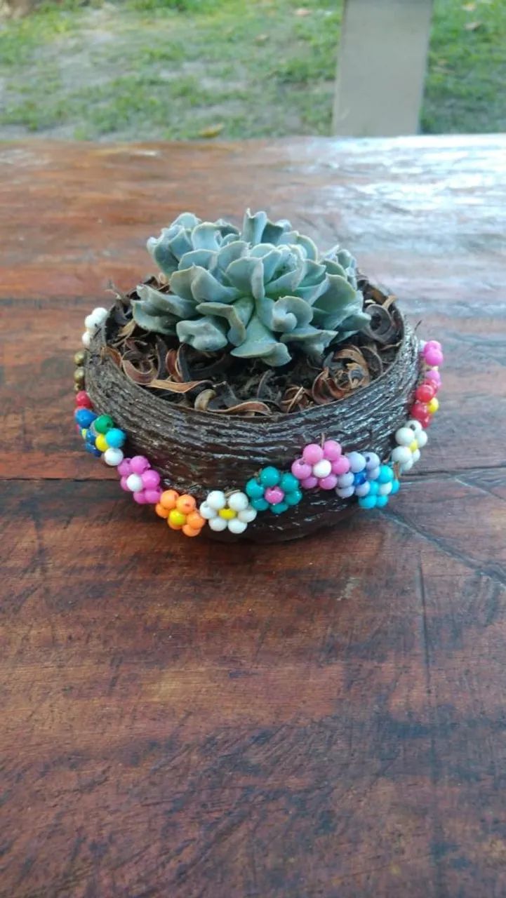 Plants63825060915457122