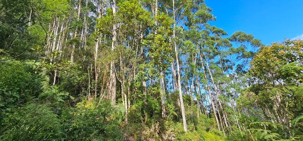 Lindo Terreno Rural em Aguas Mornas - Foto 5
