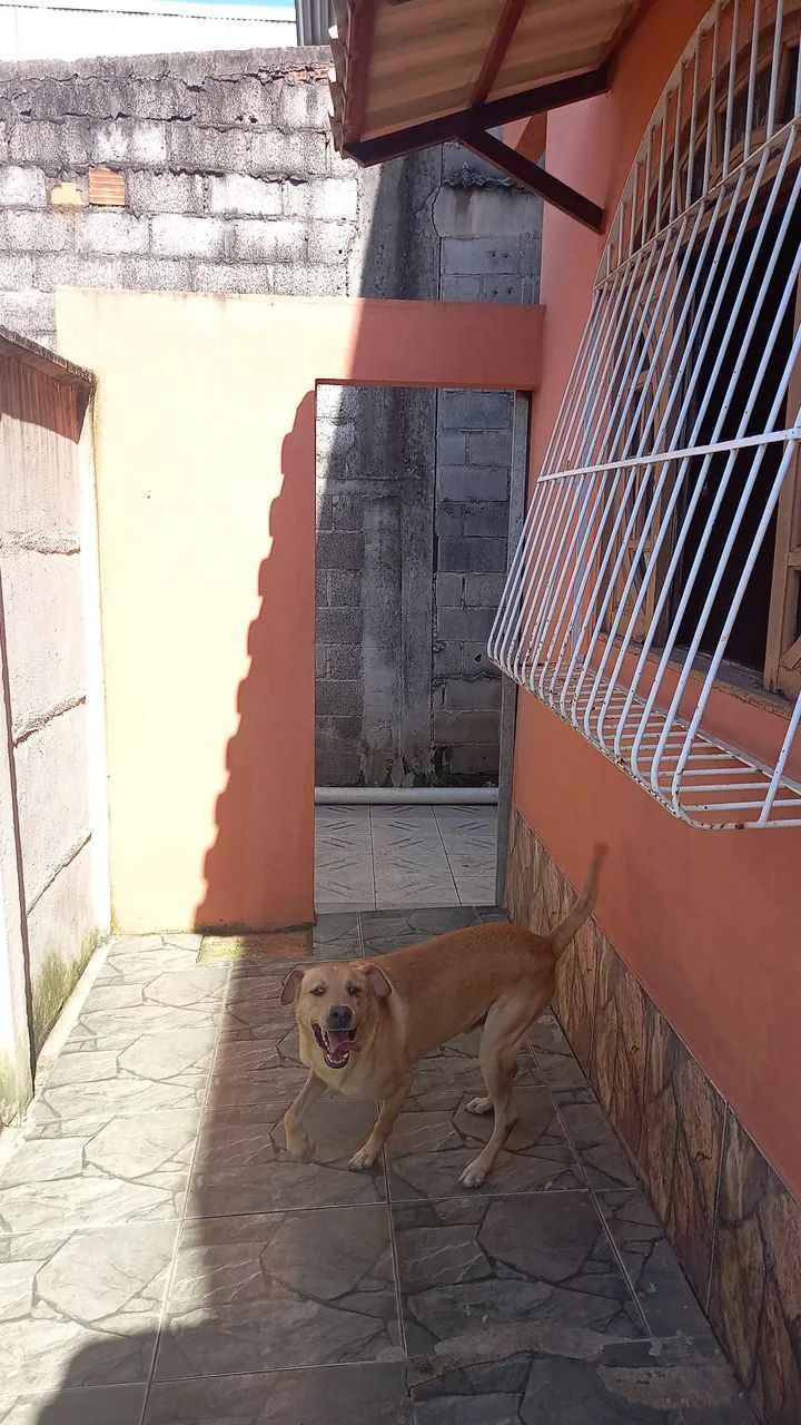 Foto - Vila Velha - Cobilândia