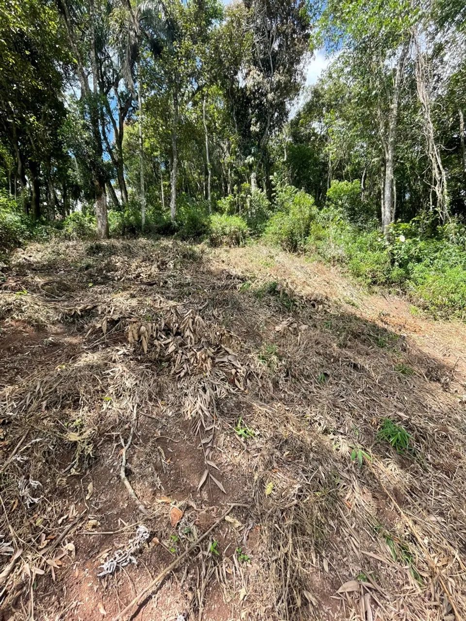 Tereno em Mairipora  - Foto 4