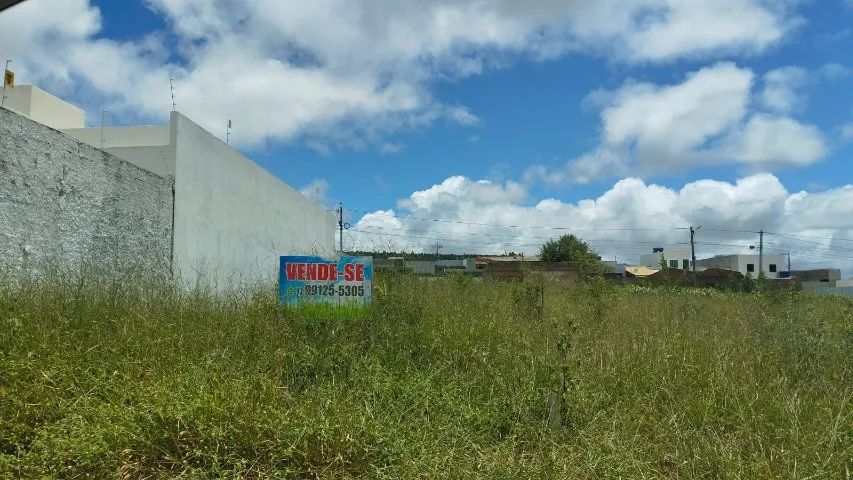 Terreno escriturado no bairro Primavera - Rua asfaltada