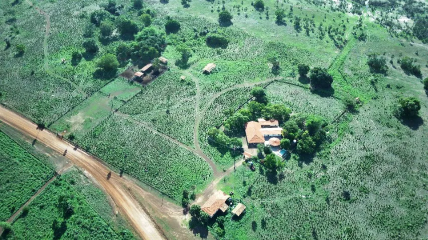Fazenda em José de Freitas Piauí