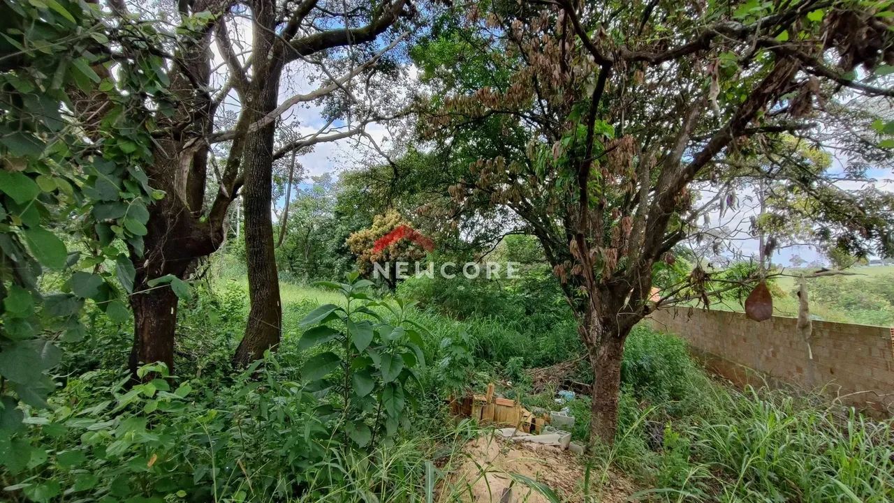Lote em Rua José Simplício Moreira - Trevo - Belo Horizonte/MG - Foto 12