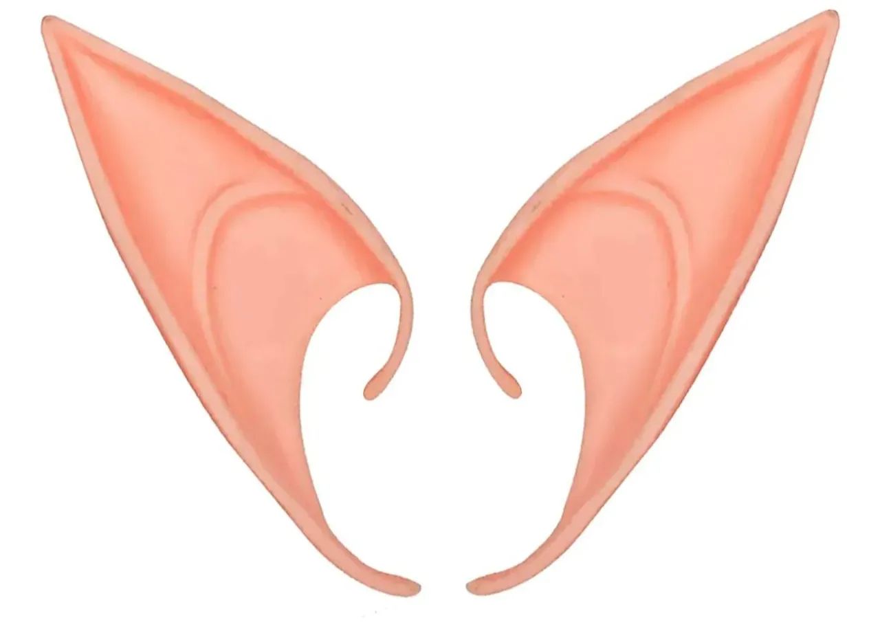 Orelha de elfos - Foto 2