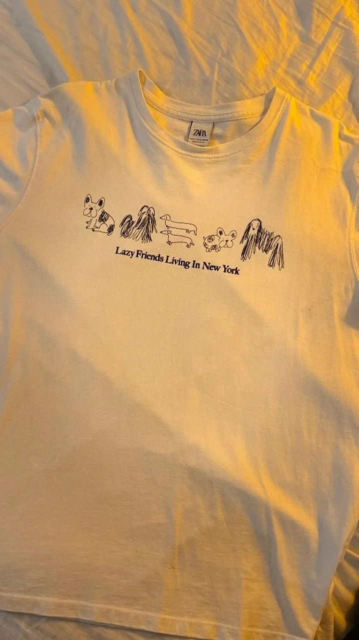 Camiseta ?Lazy Friends Living In New York? Zara - gg