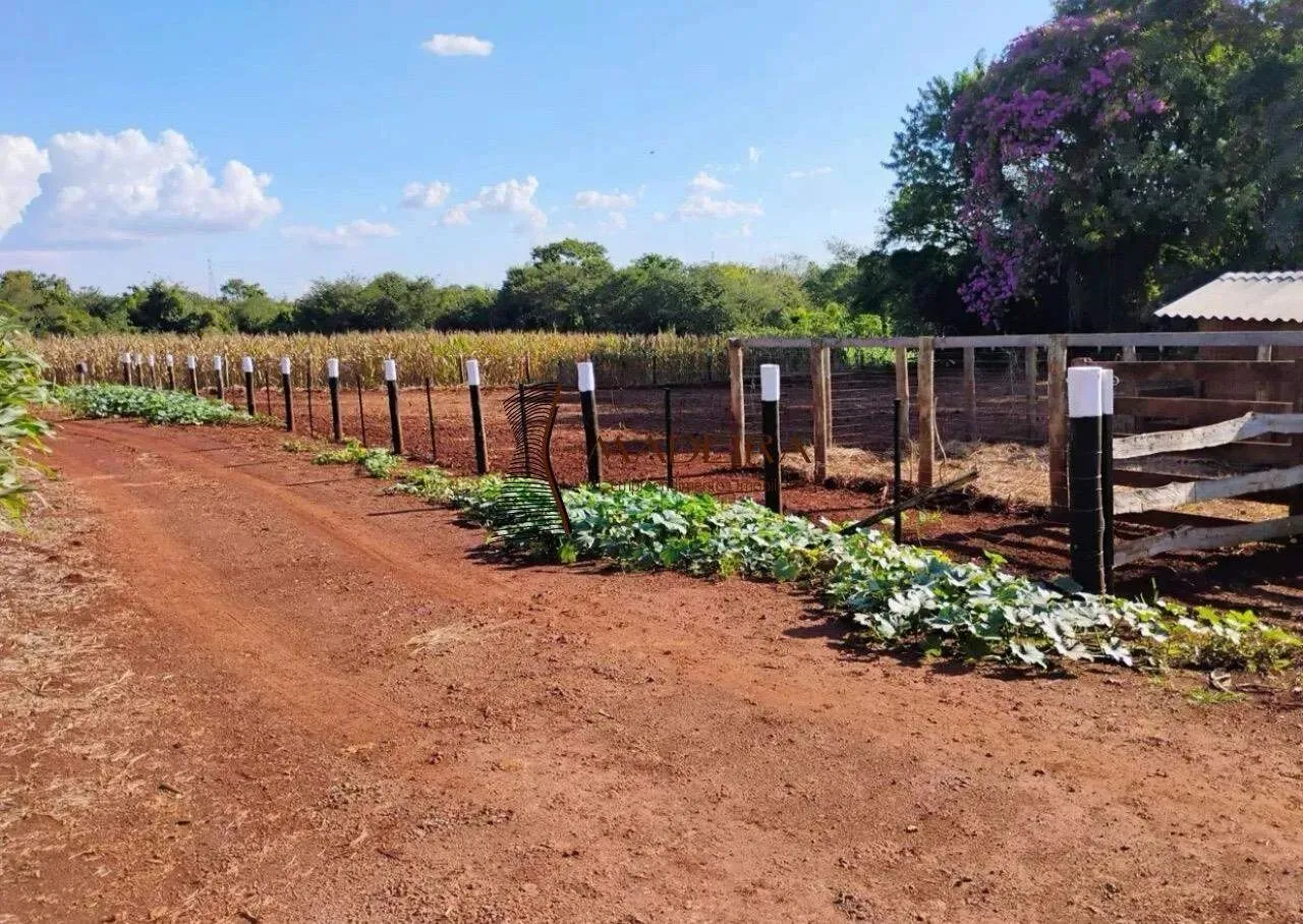 Sítio a venda em Maringá - Paraná