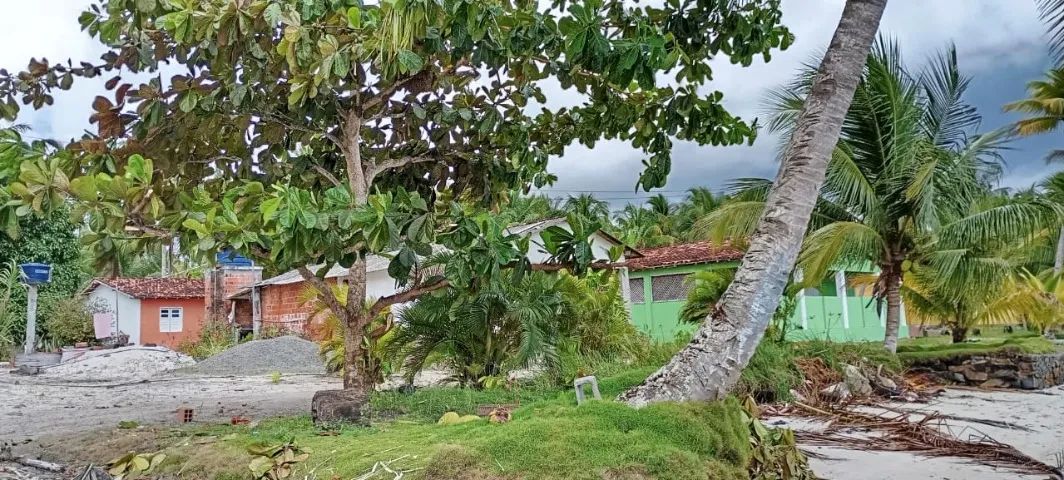 MAGNIFÍCO LOTE NO PARAÍSO - ILHA DO TIMBUCA - Foto 2