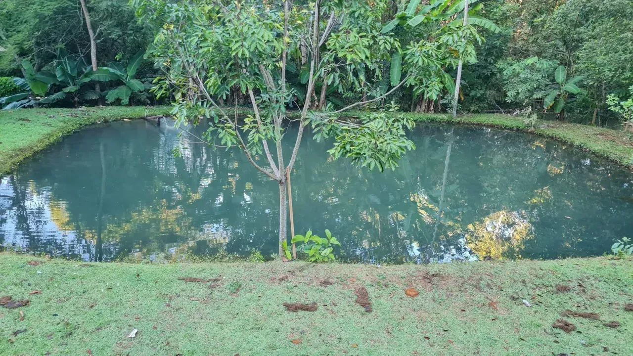 Imóvel para venda tem 400 metros quadrados com 6 quartos - Foto 3