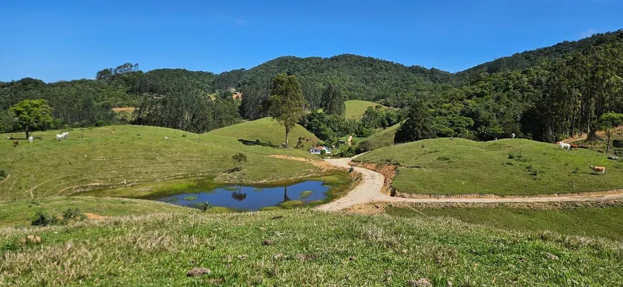 Sitios a Venda em  São Pedro de Alcântara - SC - Foto 2