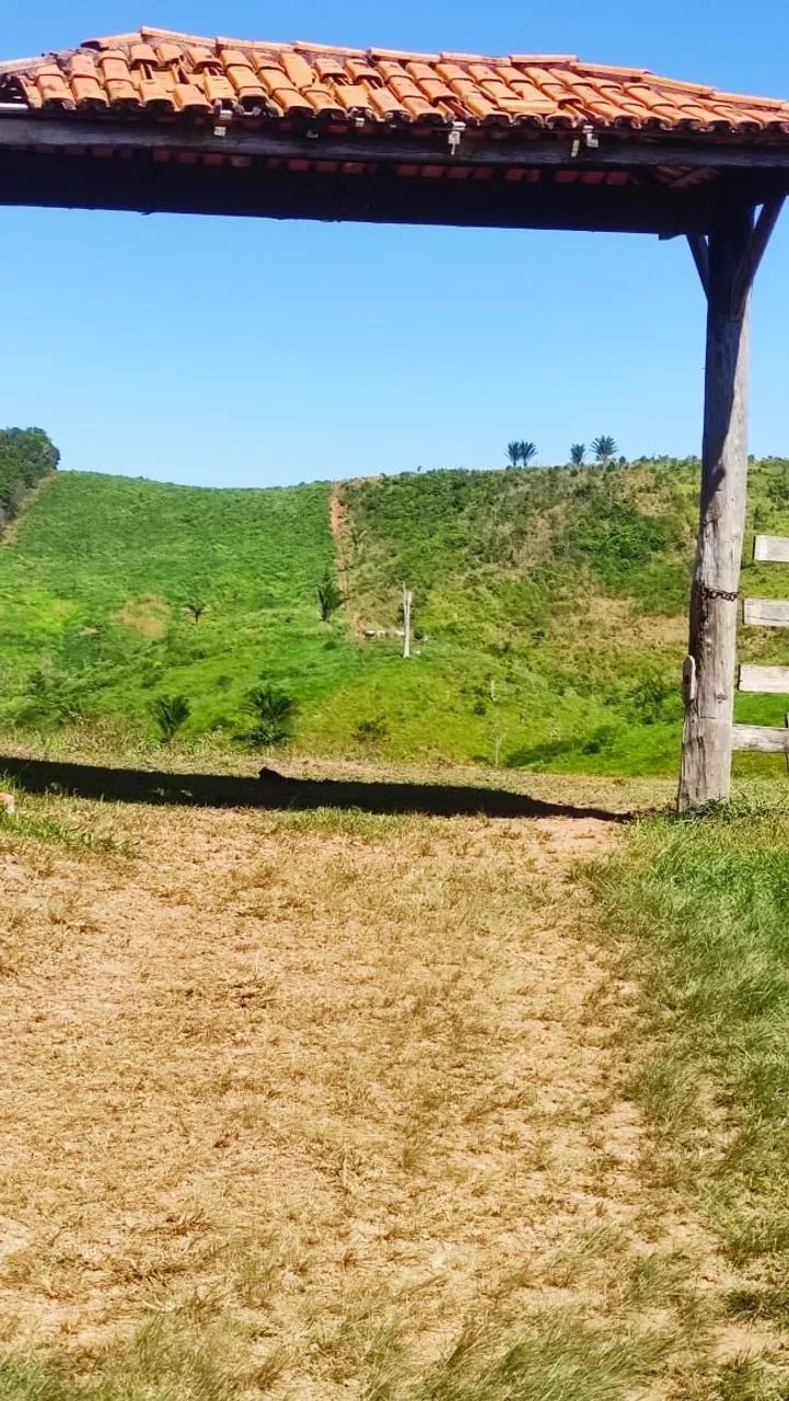 Fazenda no Pará Titulada  - Foto 4