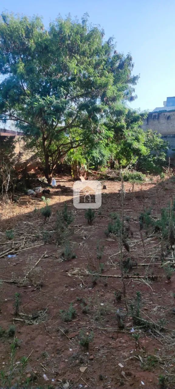 Terreno a venda no bairro Centro+ - Foto 5