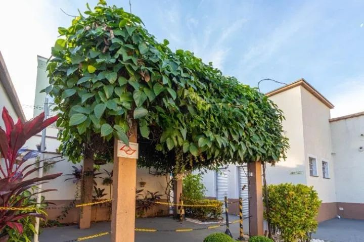 apartamento - Loteamento Parque São Martinho - Campinas - Foto 2