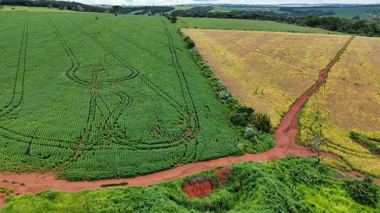 Fazenda de 70 Alqueires 