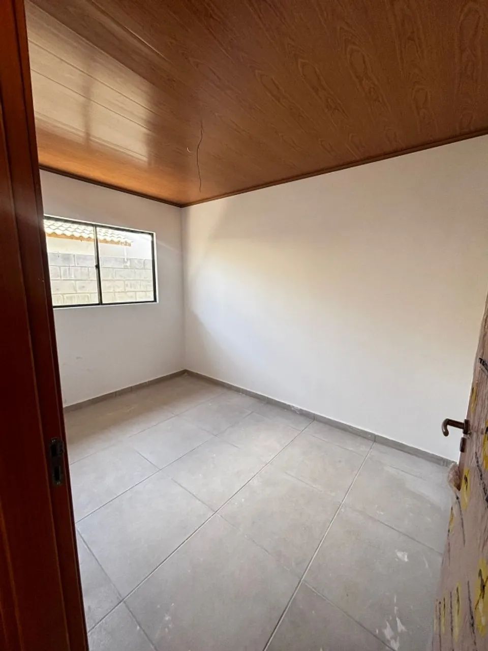 de folhagem decorativa e amplamente cultivada - Foto 4