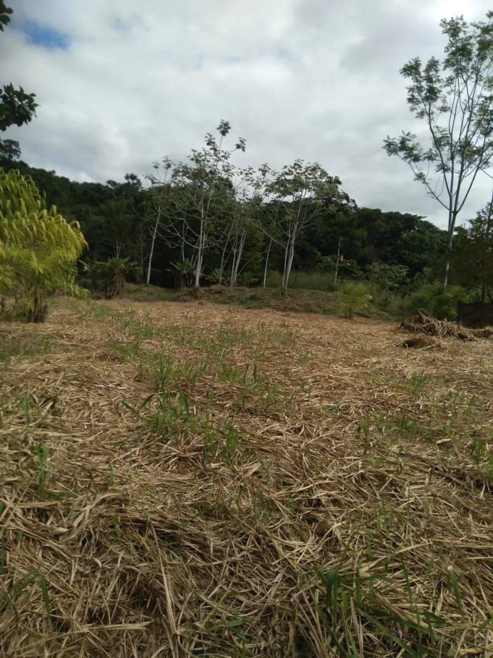 Lindo sitio 28 alqueires Itariri SP
