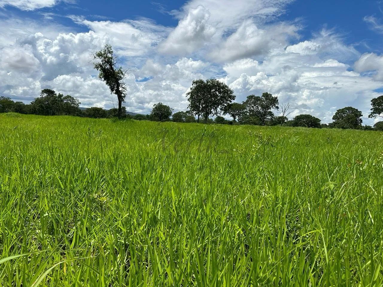 fazenda - Centro - Corinto - Foto 4