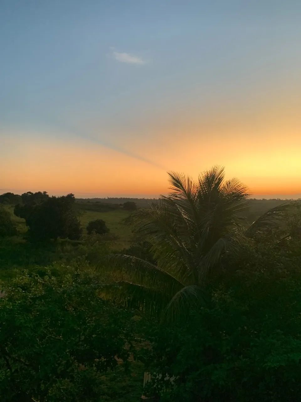 Foto - Lauro de Freitas - Caji