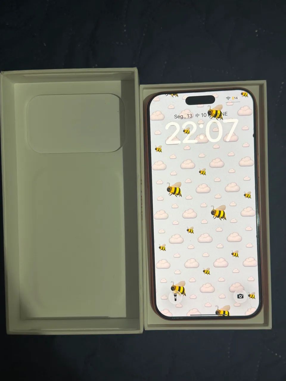 iPhone 17 Pro Max 256GB - Apenas 1 Mês de Uso