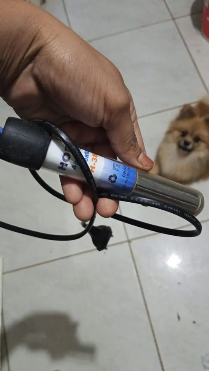 Aquário com itens  - Foto 4