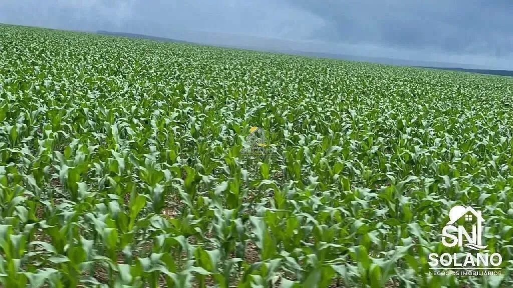 FAZENDA A VENDA EM NOBRES-MT - Foto 3
