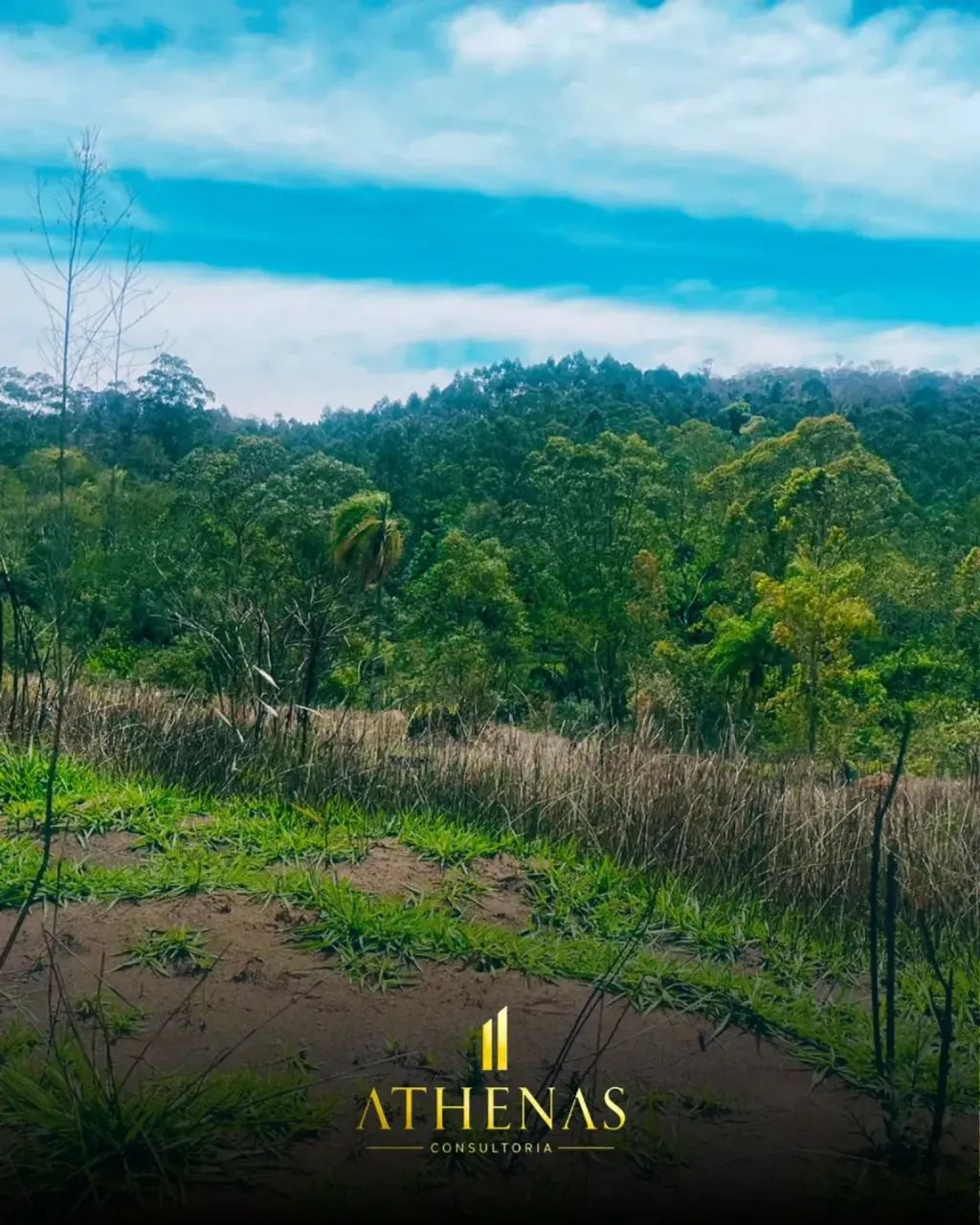 LUGAR PARA VIVER E RESPIRAR BEM - Foto 5