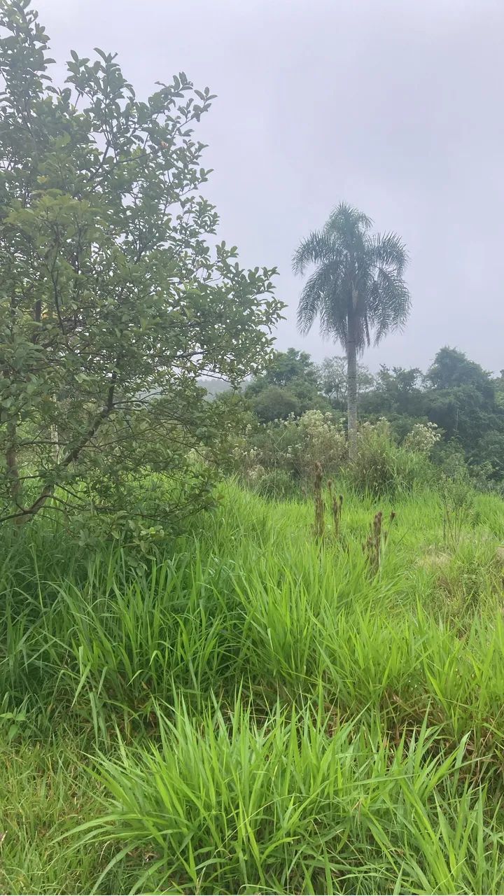Vendo terrenos em fazenda vila nova 