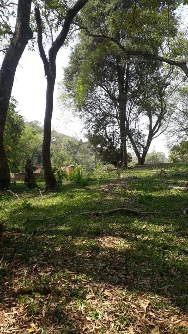 TERRENO NO INTERIOR DE SÃO PAULO - Foto 5